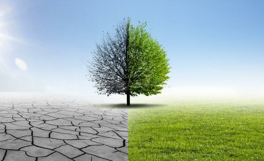 Atelier Fresque du Climat