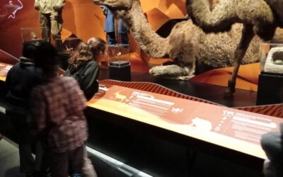 Sortie au musée avec l’accompagnement Scolaire de l’école A. Daudet