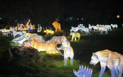 Sortie Familiale au Parc de Peaugres